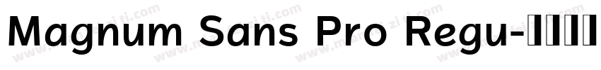 Magnum Sans Pro Regu字体转换